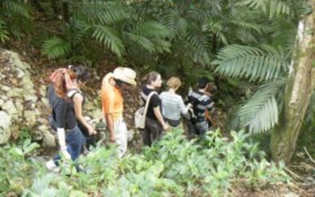  Lacandona Jungle 